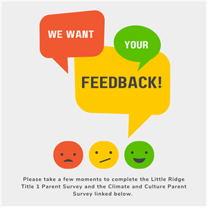  Surveys to complete